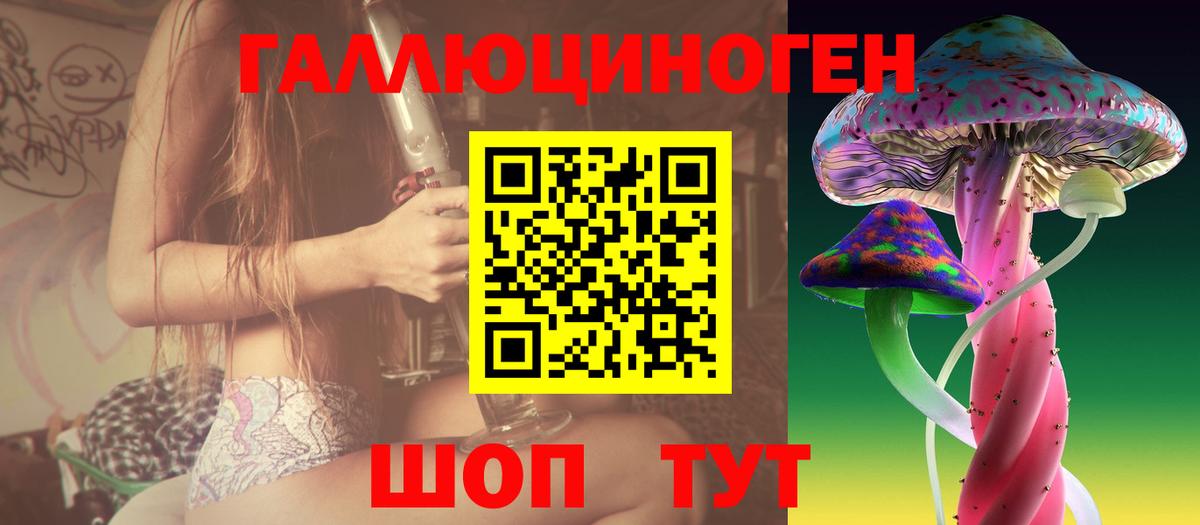 Нерюнгри  Галлюциногенные грибы GOLDEN TEACHER  Вход с VPN 